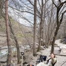 원동자연휴양림(양산) | 새로운 취미, 첫 차박 [캠핑 준비물/ BMW X4 차박텐트 추천]