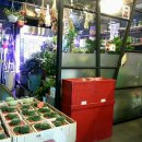 클레시스(klesis) 이미지