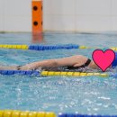 토이키즈 스윔클럽 이미지