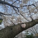 마고실쉼터(두꺼비다리) 이미지