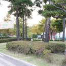 2019 오륙도평화축제 이미지