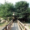 장령산자연휴양림 이미지