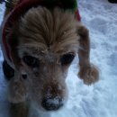 그루밍선데이 이미지