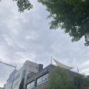 (주)나트리스 | 플래지어 쇼룸. 플래지어 아카이브. 강남가구쇼룸. 서울가구매장. 소파베드. 남돈내체험후기