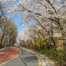 도구머리공원 이미지