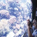 자연슈퍼 이미지