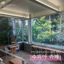 살나리어린이공원 | 다섯 살 아이와 부천 상동호수 공원 <수피아 카페>에서 커피 한 잔! (feat. 실내 동물원)