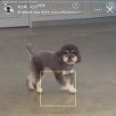 뉴아르뷰티 이미지
