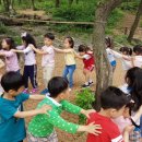 유아숲화장실 이미지