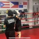 다이나복싱체육관 이미지