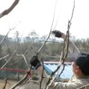 북일농장 이미지