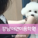 킴스애견미용실 이미지