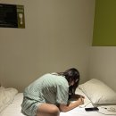 제주 멍냥 펫택시 | 한라산 일출을 위한 제주 여행_1일차 / 택시 대란 / 도주제 미친(positive)