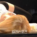 스텔라이 이미지