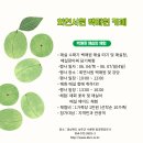 회연 Daum카페