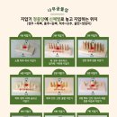 나무공들임