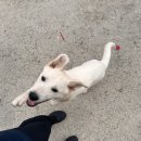 후생당구장 이미지