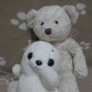 내가환경 이미지