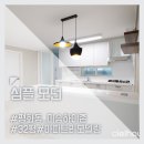하이존 이미지