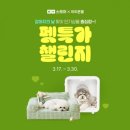 주식회사 펫푸드 이미지