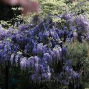 다도박물관 이미지