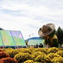 용대관광지 이미지