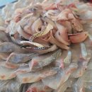 코끼리밥상 | 한국인의밥상 만추 맛을 완성하다 거제 방어 요리 횟집 정보