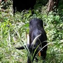 삼문농장 이미지