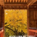 적천사 - 1735 | day off) 가을엔 역시 단풍놀이!! 800년 된 은행나무가 숨 쉬고 있는 청도 [ 적천사 ] 방문 후기