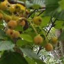 모우목장 이미지