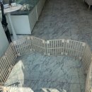 드림독 강아지분양 안심분양센터 부천점 이미지