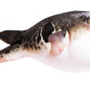 018-문산-018 이미지