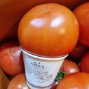 레드토마토 이미지