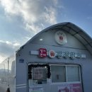 매향농장 | 이천 감성딸기 후기｜메리퀸딸기 선물로 추천하는 이유