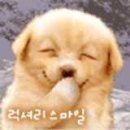 복 이미지