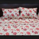 천지일가 이미지