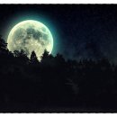 우리하나문구 이미지