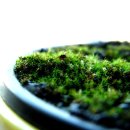 정경목장 이미지