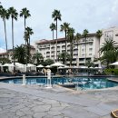 롯데호텔남성사우나 | 제주신라호텔 수영장 튜브 공연 시간 모자 선베드 예약 꿀팁