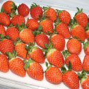 단북애청년 이미지