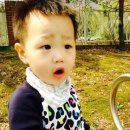 킨더하바어린이집 이미지