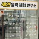 세연윤곽체형연구소 이미지