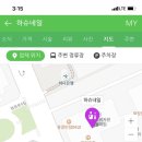 네일하슈