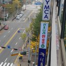 신초나라 이미지