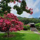 [포토친구] 신유장군 유적지 이미지