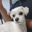 봉구스밥버거(구영점)