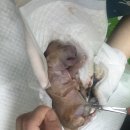 도곡종합동물병원 이미지