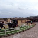 샛별목장 이미지