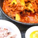 곰스패밀리