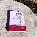 햇살수학과외